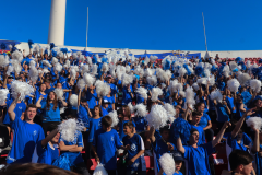 NUEVOS PANELES - 5