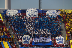 NUEVOS PANELES - 9