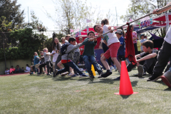 Paneles Fiesta Familiar La Junta - 1