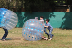 Paneles Fiesta Familiar La Junta - 36