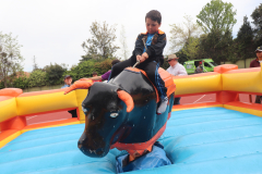 Paneles Fiesta Familiar La Junta - 8