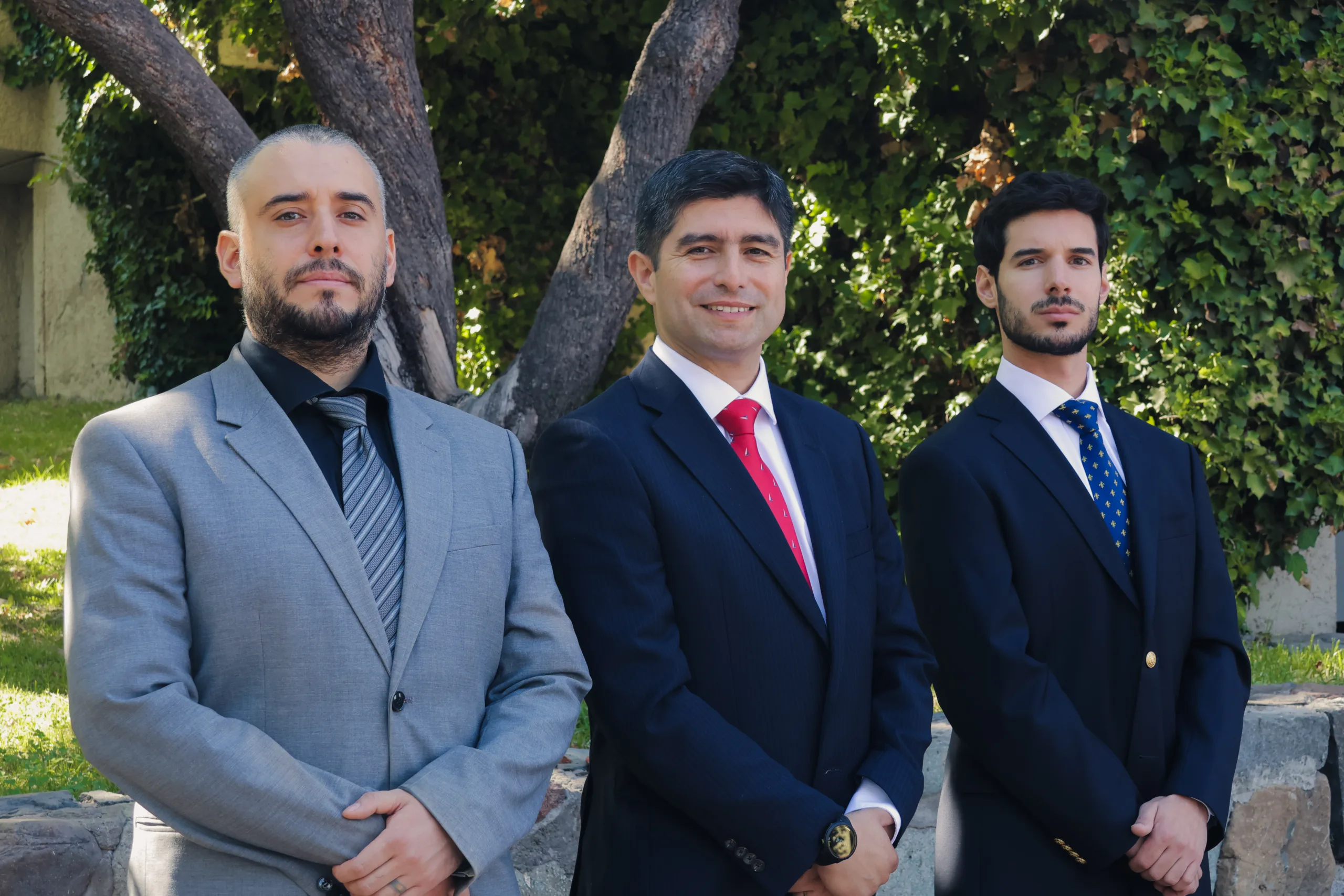 Organización del Colegio