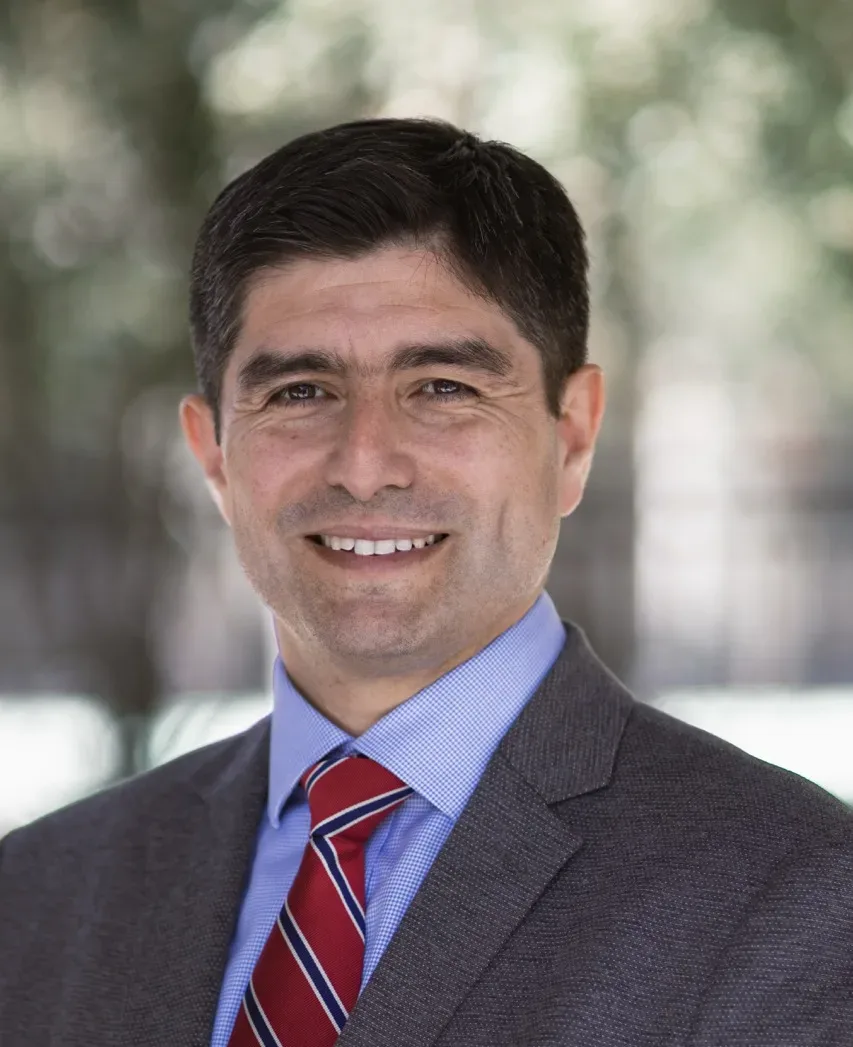 Organización del Colegio Organización del Colegio